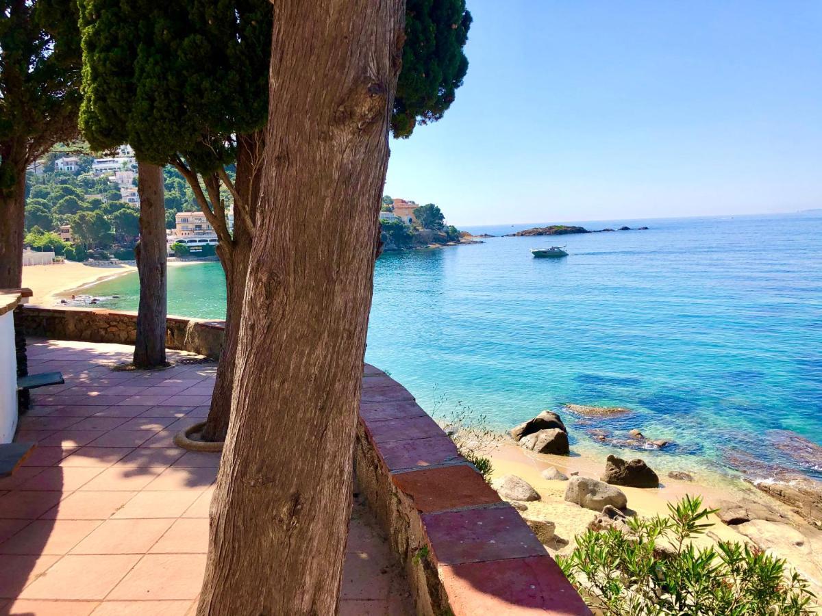 Magnifique Appartement En Front De Mer, Caneylles Roses Luaran gambar